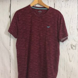 Hollister T Shirt